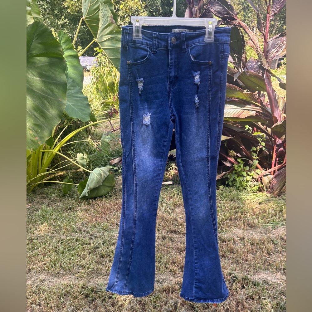 Chic Flare Blue Jeans